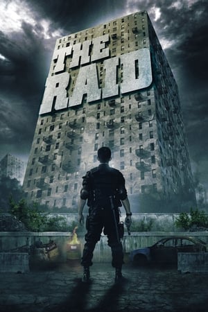 The Raid: Redemption (2011) Hindi Dual Audio 720p BluRay [900MB] ESubs