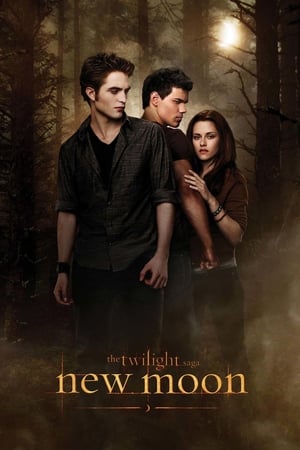 The Twilight Saga New Moon (2009) Hindi Dual Audio Bluray 720p [1.0GB] Download