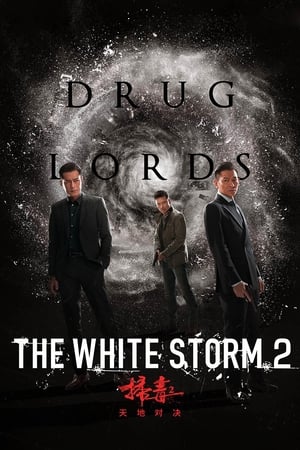 The White Storm 2: Drug Lords (2019) Hindi (Org) 480p HDRip 300MB