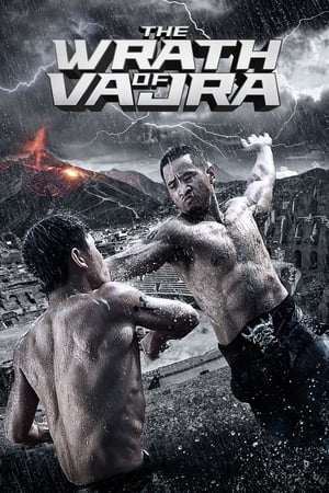The Wrath of Vajra (2013) Hindi Dual Audio 480p BluRay 350MB