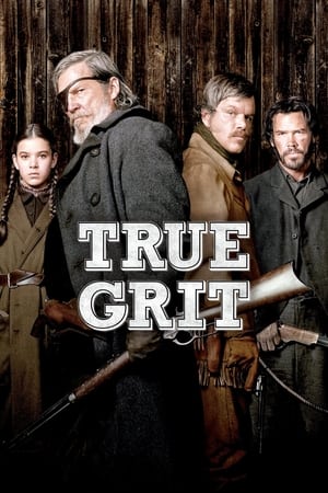 True Grit (2010) Hindi Dual Audio 480p BluRay 350MB