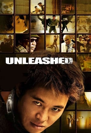 Unleashed (2005) Hindi Dual Audio 480p BluRay 360MB