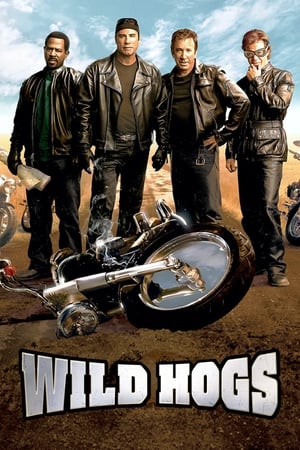 Wild Hogs (2007) Hindi Dual Audio 480p BluRay 340MB