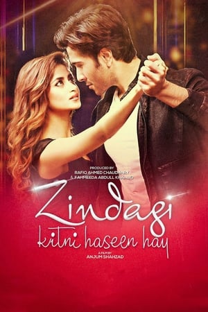 Zindagi Kitni Haseen Hay (2016) Pakistani Movie 480p HDRip Download